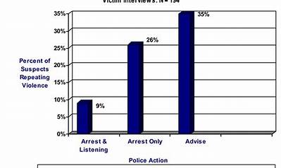 What Was the Minneapolis Domestic Violence Experiment and Why Was It Important?