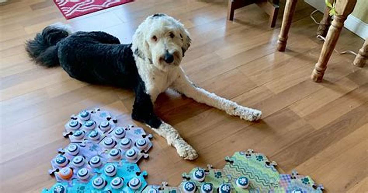 Whataboutbunny – a Talking Dog, No Seriously, It’s a Talking Dog That Uses Buttons