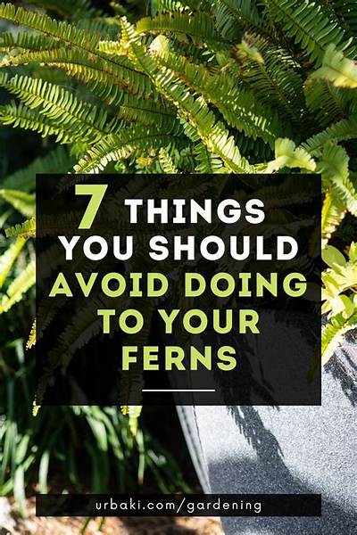 When Should I Dig up My Ferns?