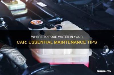 Where Do You Pour Water in Your Car?