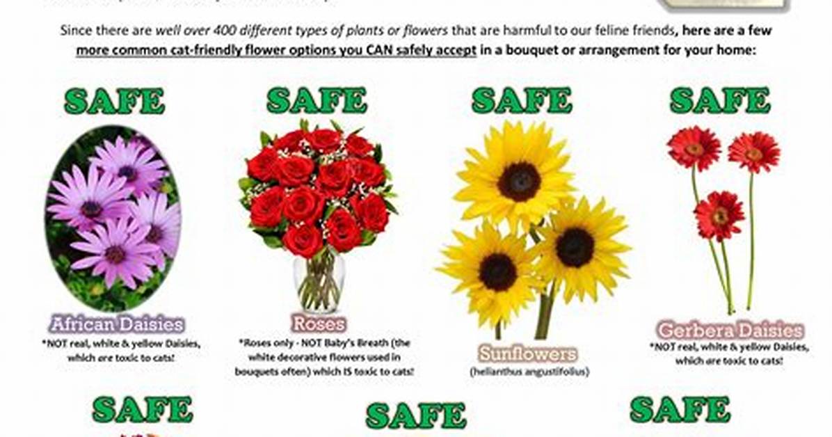 Which Cut Flowers Are Safe for Cats?