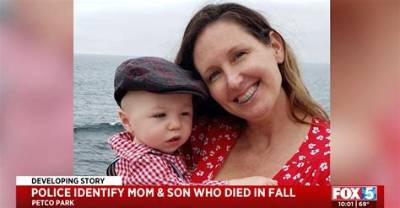 Who Is Raquel Wilkins from San Diego? Petco Park Death Video on Reddit and Case Update