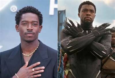 Who Is the New Black Panther After T’challa’s Death?