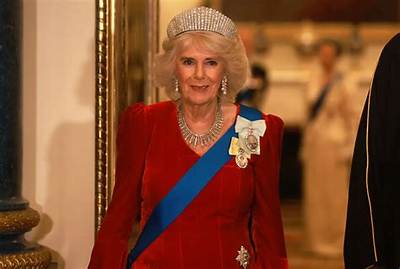 Who Is Will Camilla? Will She Become a Queen? After Queen Elizabeth Ii Death