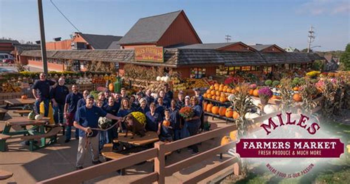Who Owns Fairway Markets?