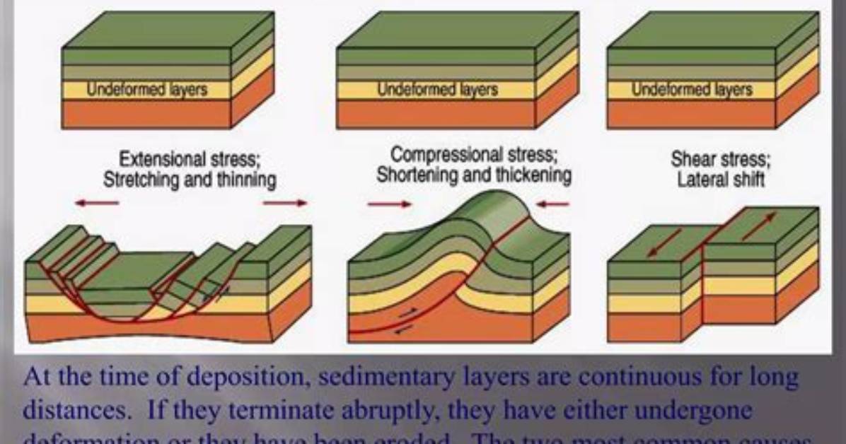 Who Wrote the Principle of Lateral Continuity?