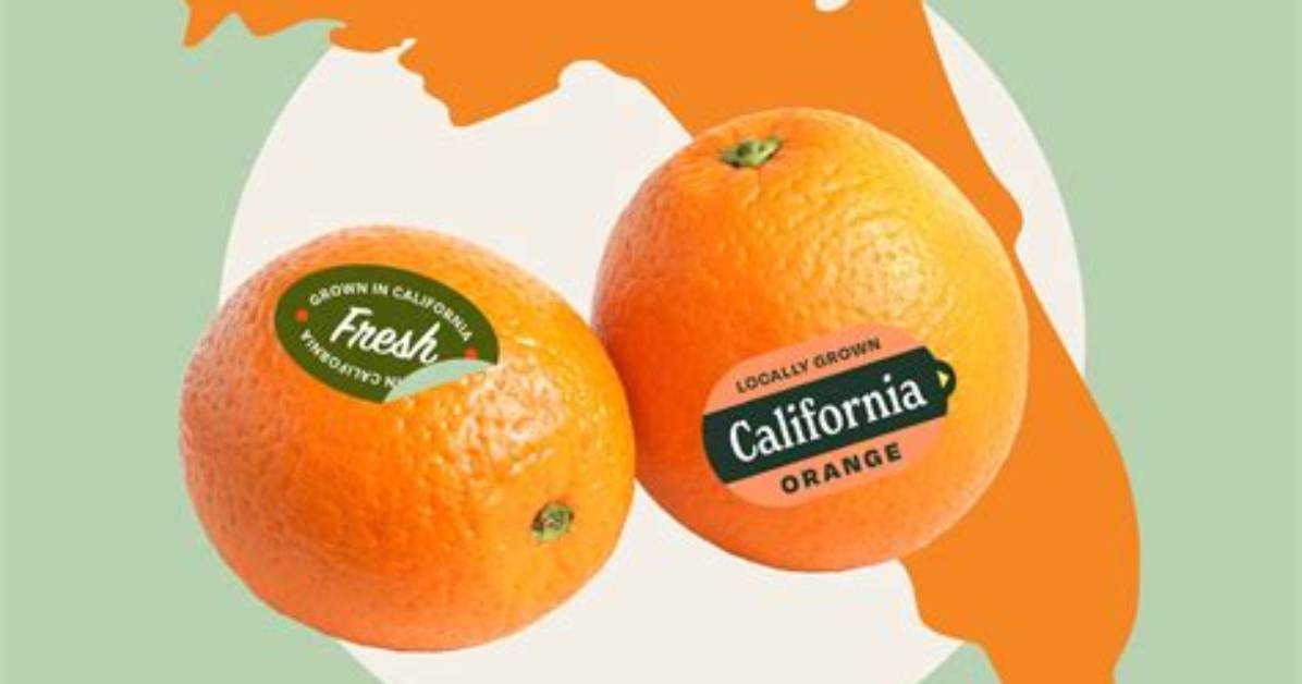 Why Are Florida Oranges Different from California Oranges?