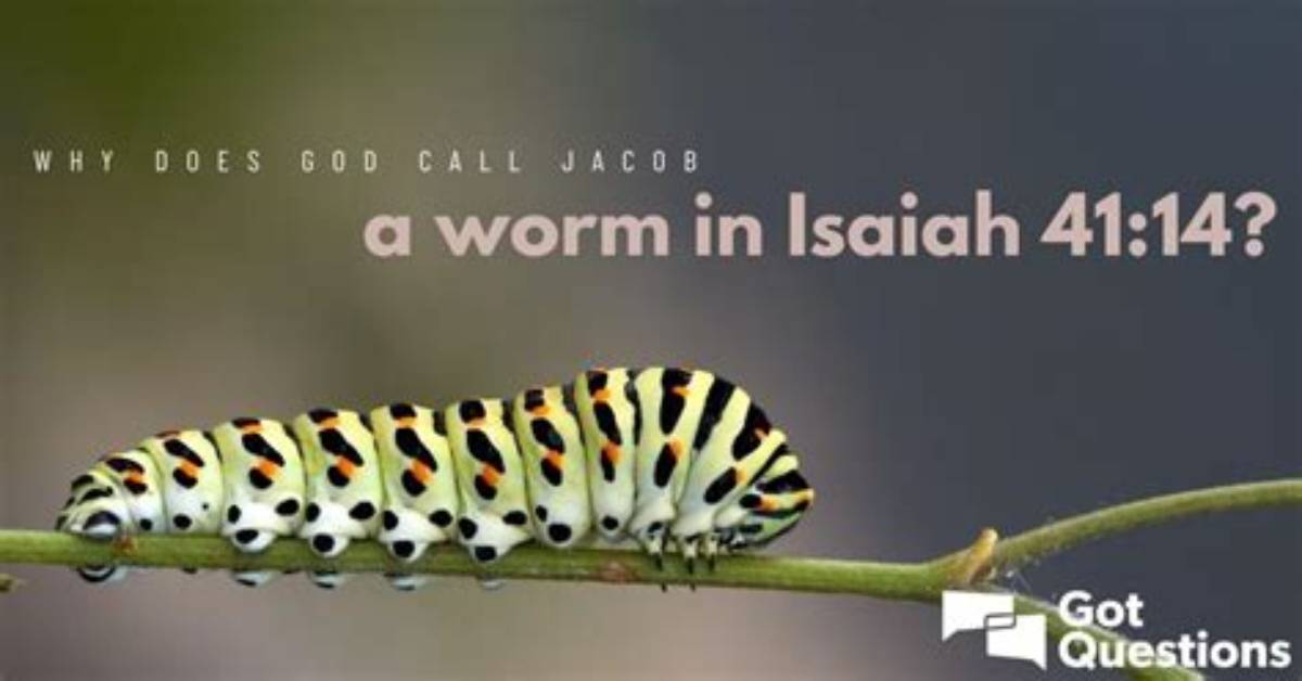 Why Does God Call Jacob a Worm in Isaiah 41:14?