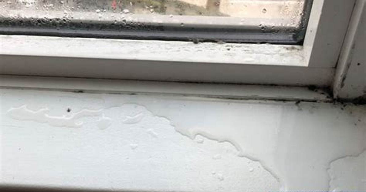Why Does My Storm Door Have Ice on the Inside?