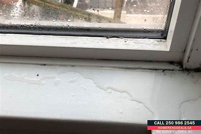 Why Does My Storm Door Have Ice on the Inside?