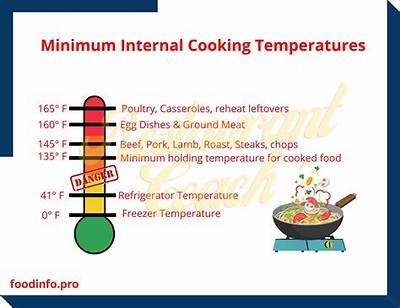 Why Is a Minimum Internal Temperature Important While Cooking?