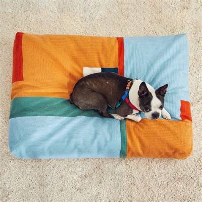 Why Is My Bed Wet Underneath?