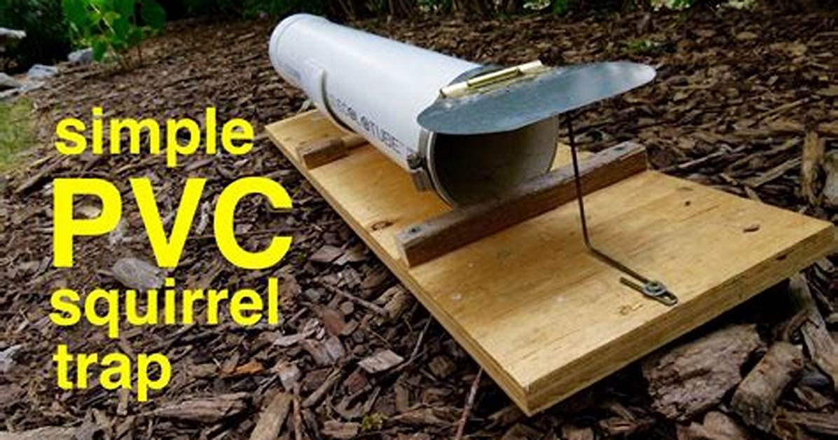 Will a Mouse Trap Kill a Squirrel?