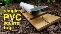 Will a Mouse Trap Kill a Squirrel?