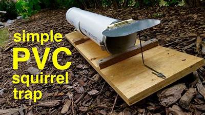 Will a Mouse Trap Kill a Squirrel?