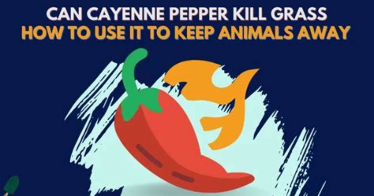 Will Cayenne Pepper Keep Dogs off Lawn?