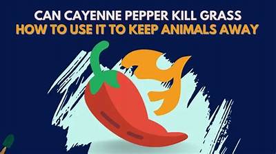 Will Cayenne Pepper Keep Dogs off Lawn?