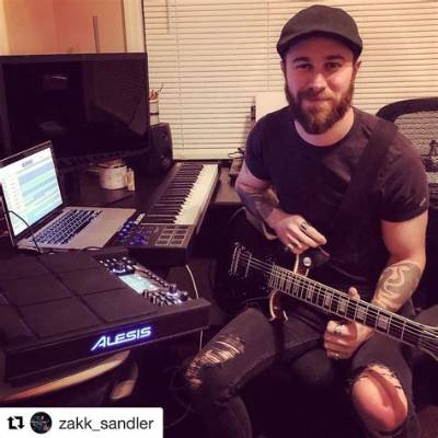 Zakk Sandler Bio (Wiki)